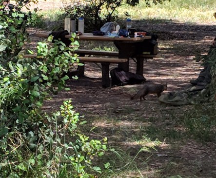 Maker:S,Date:2017-11-7,Ver:6,Lens:Kan03,Act:Lar02,E-Y