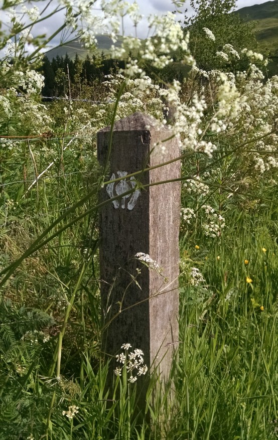 366FE32A-9D37-490B-AAC4-D8CB31E78E92