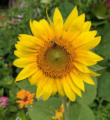 IMG_20200816_113846-2